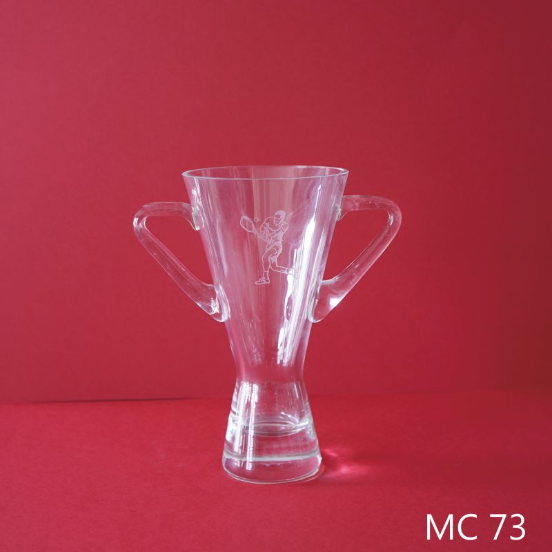 MC 73.jpg